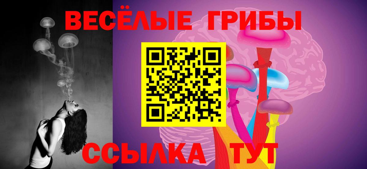 Махачкала  Галлюциногенные грибы Cubensis  Псилоцибиновые грибы Psilocybine cubensis  Вход с VPN 